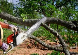 Best Soil Testing and Treatment  in Lyons, NJ